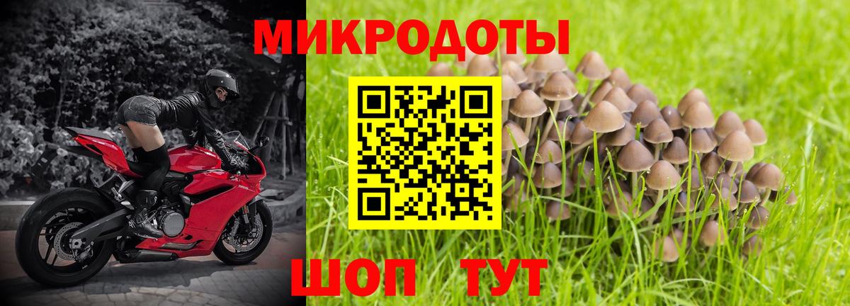 Унеча  Галлюциногенные грибы мицелий  Псилоцибиновые грибы GOLDEN TEACHER  Вход с VPN 