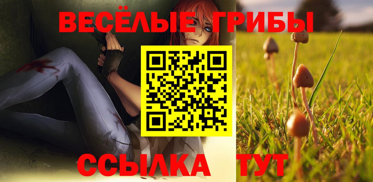 Галлюциногенные грибы прущие грибы Унеча